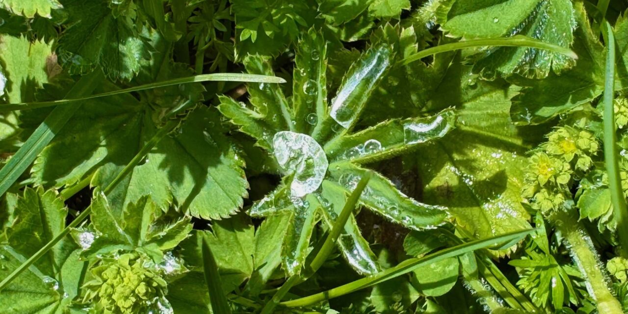 Neumond in Zwillinge 2025