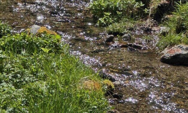 Die Kraft des Bergfrühlings