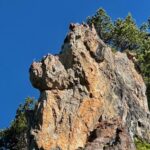 Drachen zum dritten