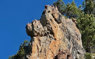 Drachen zum dritten