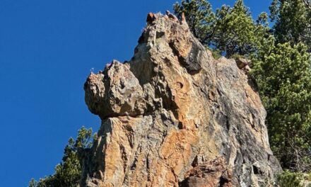 Drachen zum dritten