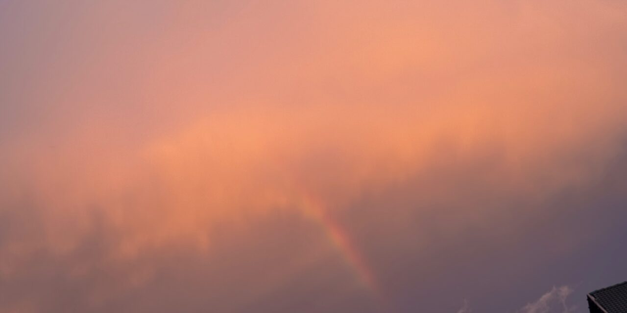 Botschaft zum Neumond im Löwen 2025