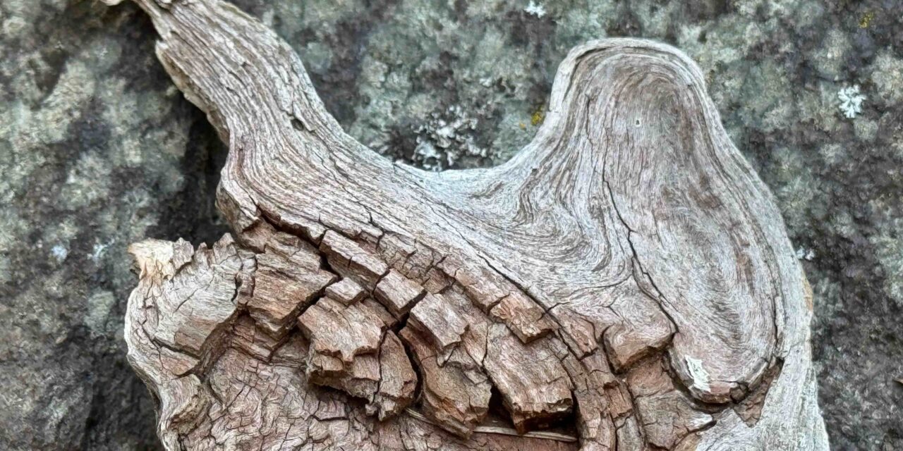 Neumond in Jungfrau 2025