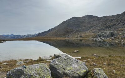 Meine Steinfreunde sind überall