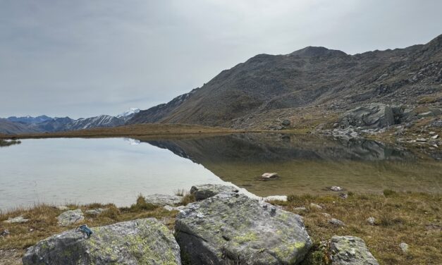 Meine Steinfreunde sind überall