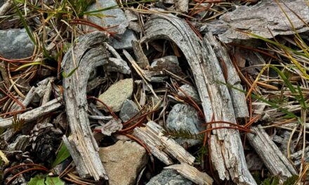 Neumond in Waage 2025<span class="badge-status" style="background:#83322e">ABO</span> 