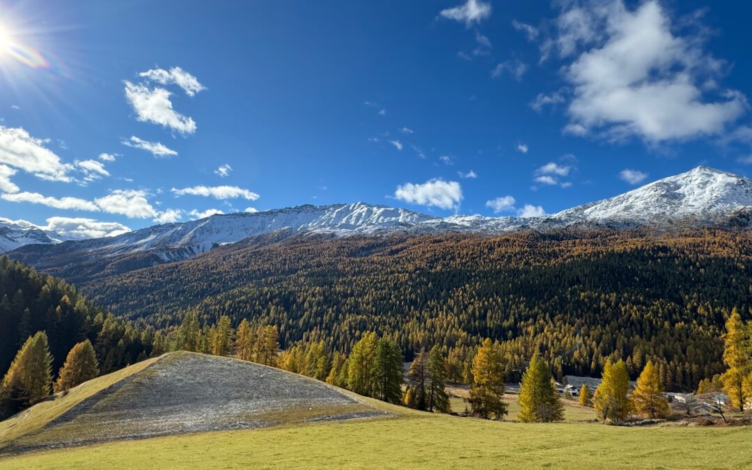 Rückkehr des Drachen