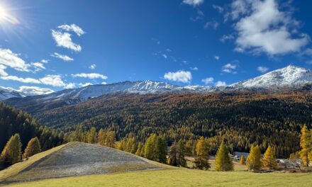 Rückkehr des Drachen