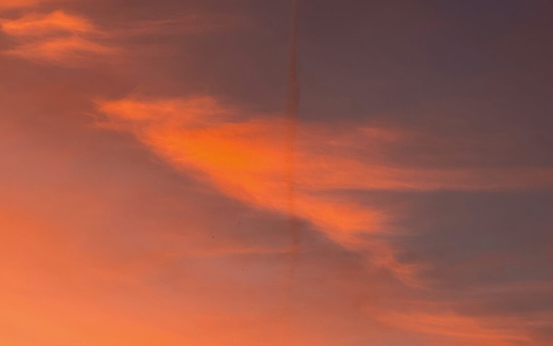 Der goldene Drache erwacht