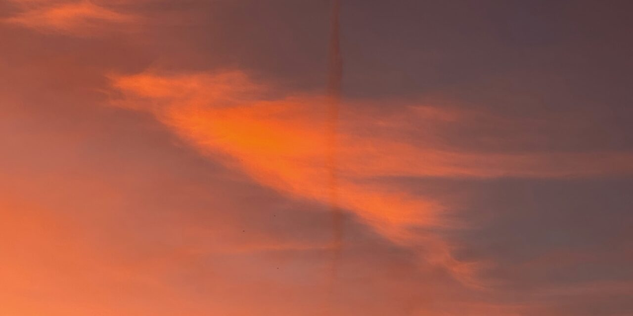 Der goldene Drache erwacht