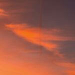 Der goldene Drache erwacht