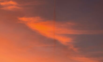 Der goldene Drache erwacht