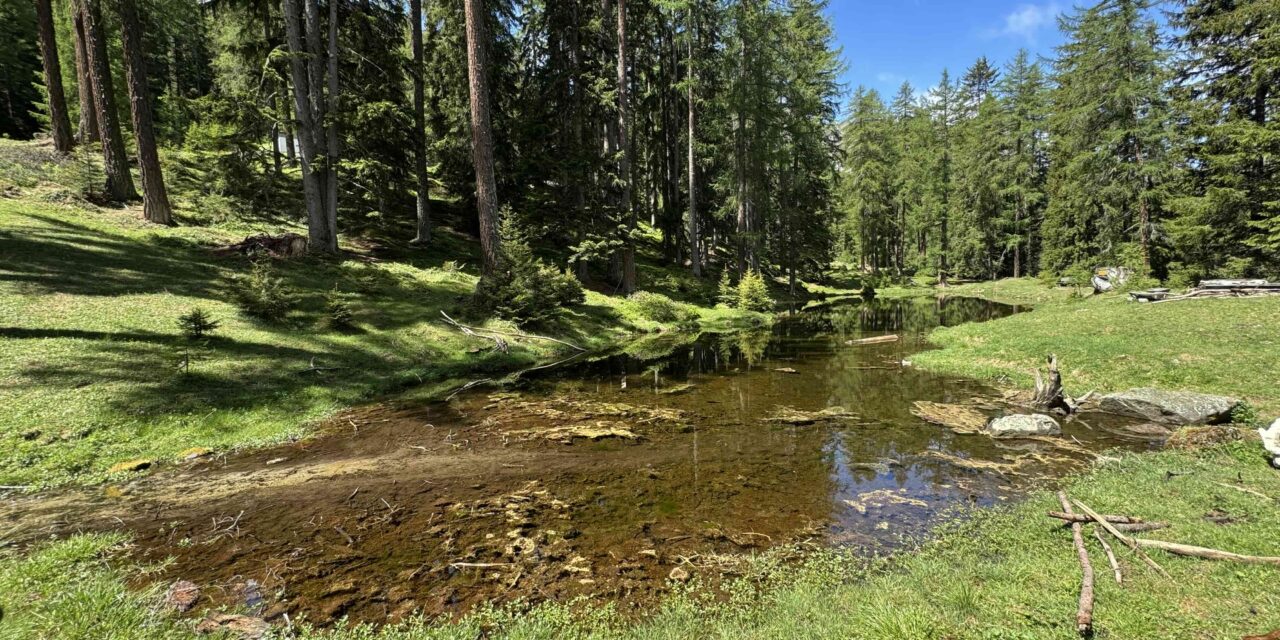 Herzlandschaft