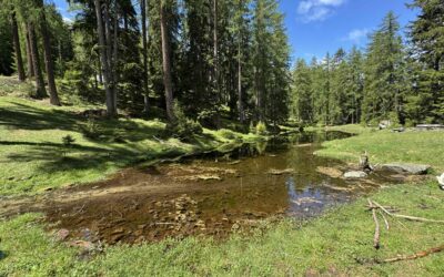 Herzlandschaft