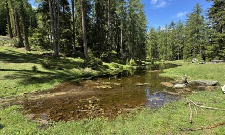 Herzlandschaft