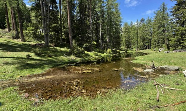 Herzlandschaft